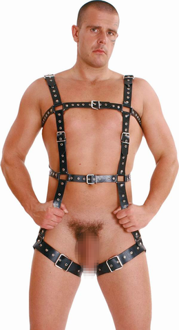 LE5159; Leather Body Harness