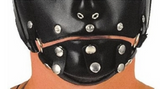 Ledapol leather head harness