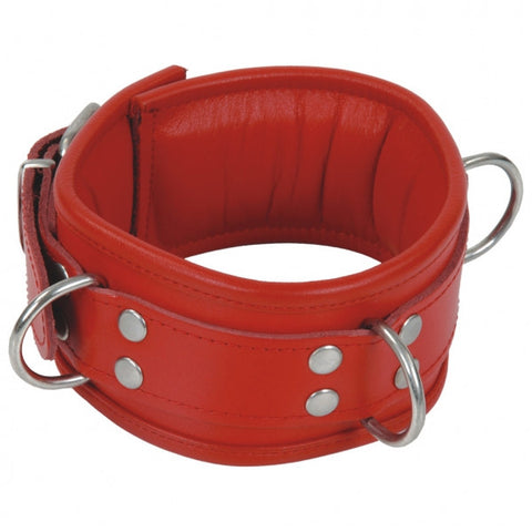 Red Collar, Padded. 3-D Rings