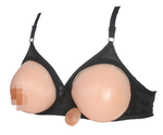 Breast Prostheses (Bra)
