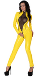 DateX Catsuit with Mesh Front and Butt