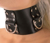 Leather Collar, Studs & 3 Rings