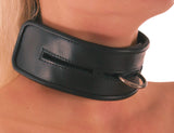 Leather Collar, Ring Through Slit, Design