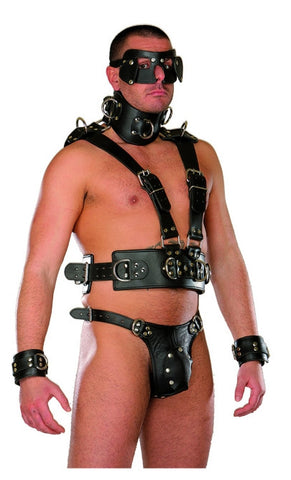 Black Leather Harness, Adjustable Collar