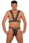 Black Leather Harness, Double Eyelets