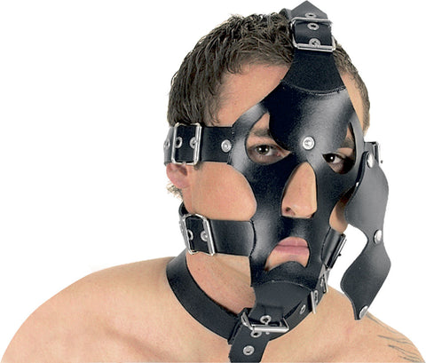 Leather Mask with Heavy Straps & Snap On Blindfold