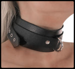 Leather Collar, D-Ring, Buckle