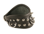 Leather Collar, Long Spikes Plus D-Ring