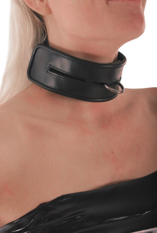 Ledapol leather collar