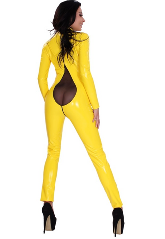 DateX Catsuit with Mesh Front and Butt