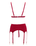 Abierta Fina Red Slit Bra, String and Suspender Set
