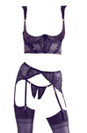 Abierta Fina Rhinestone Bustier with Suspender and Panty