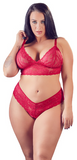 Red Lace 2PC Set