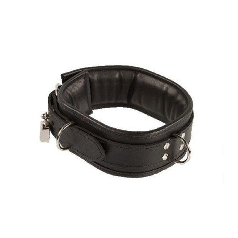 Padded Collar, Lockable, 3-D Rings