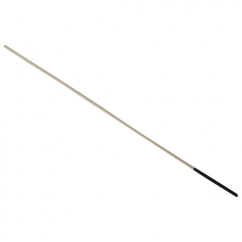 Polished Cane with Leather Handle; 85cm
