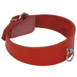 Red Beginner's Collar with O Ring; Thick Front and Buckle