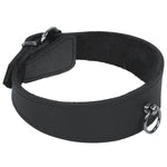 Beginner's Collar with O Ring; Thick Front and Buckle
