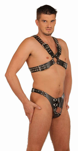 LE5516; Leather Body Harness Set