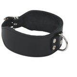 Collar 'Special'; with Half Ring & Chain Leash