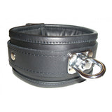 Padded Collar with Swivel